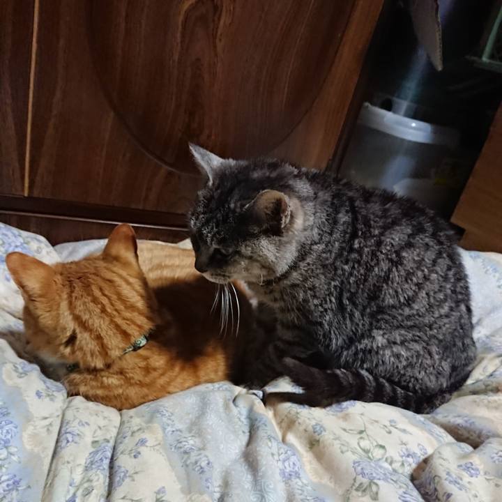 A5d67f41 9298 46b8 aec1 2e94d7034e1f 1582113445546