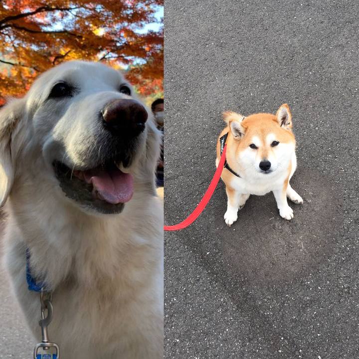 A5d68326 0c86 4d89 af31 b29e0393ebb9 1611099992915