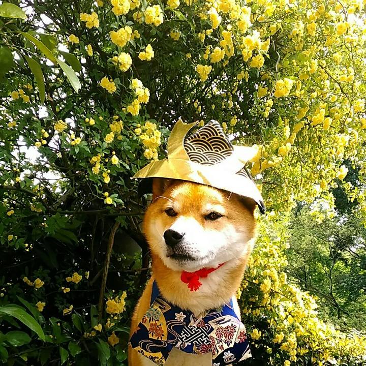 A5d6cb59 b2c3 4f40 9e57 c71aa7907570 1556332138034