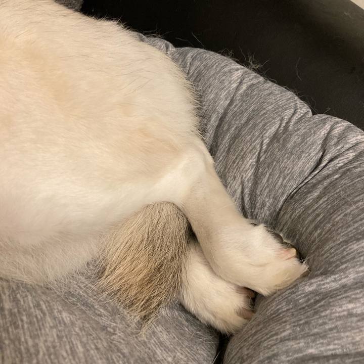 A5d6d20a 9870 46f4 80ba ef8d301fcdff 1714311400020