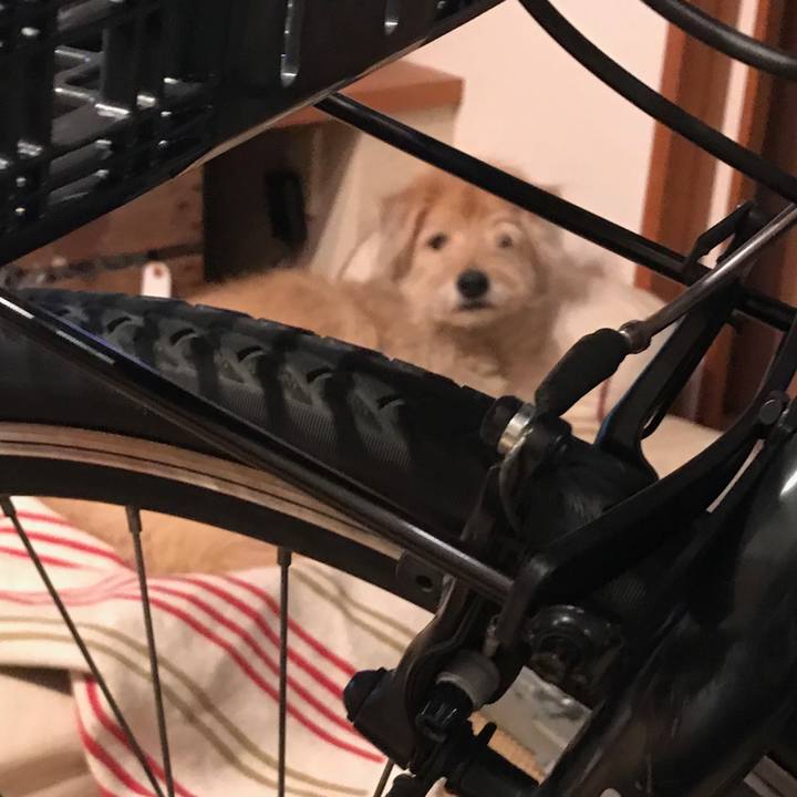 A5d6da47 92c2 4444 972f 967fb996dbfd 1529796277149