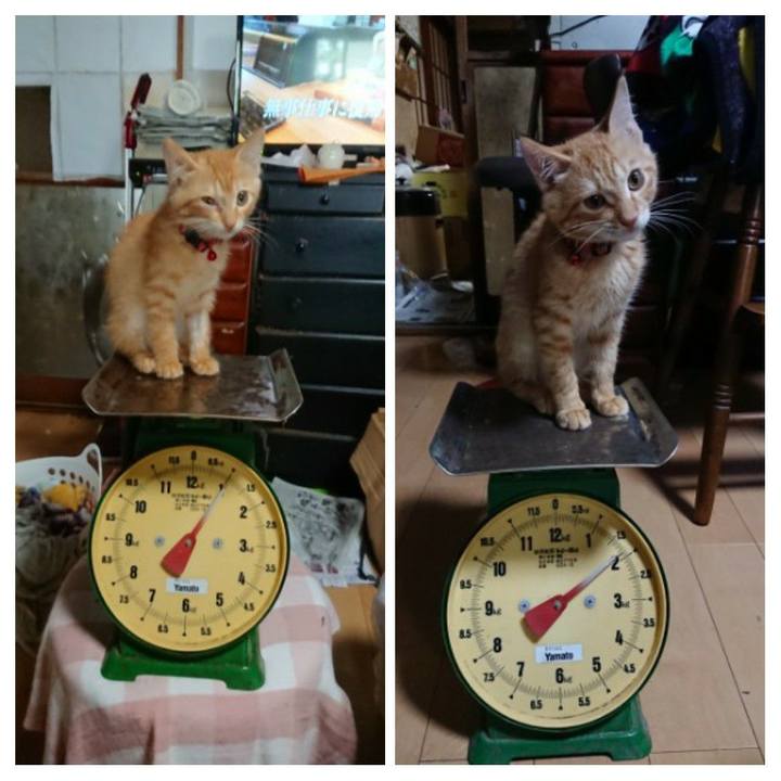 A5d721c3 7cd3 4d9d ac52 ac82eb6d7491 1632475666580