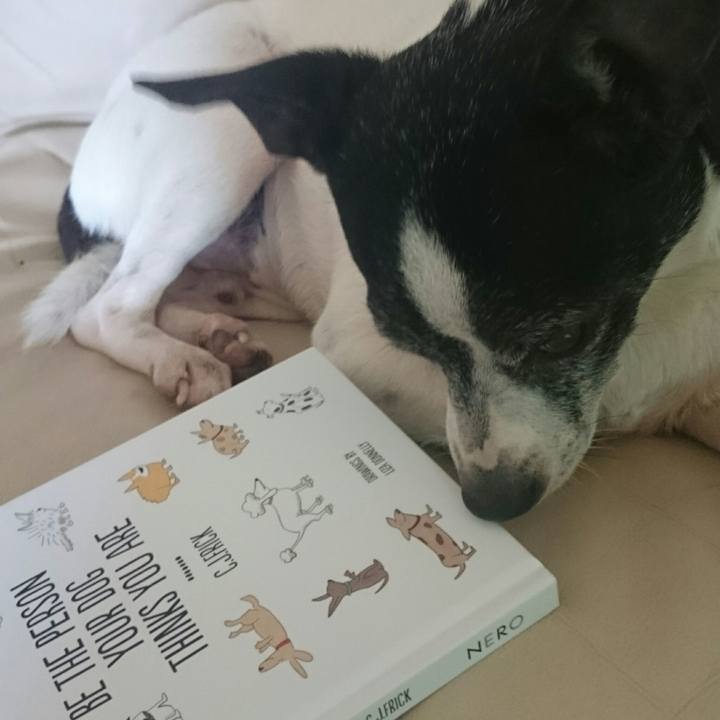 A5d72e23 a38f 4f18 bf07 559b62f18371 1546240728186