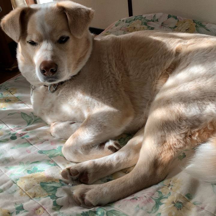 A5d742c0 36c4 4994 9ad8 4eaac5136b3d 1584063859587