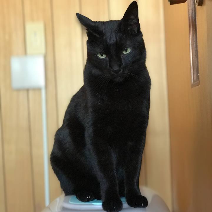 A5d746a8 3117 4a54 a1d4 f58d32e07ca3 1523582928191