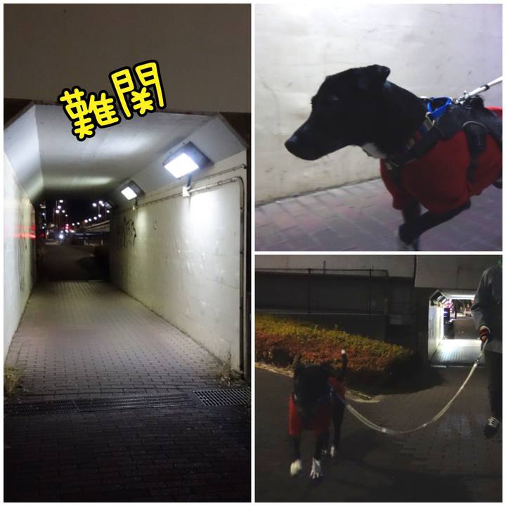 A5d7a058 e473 494e 9646 4e83adbce267 1641122039482