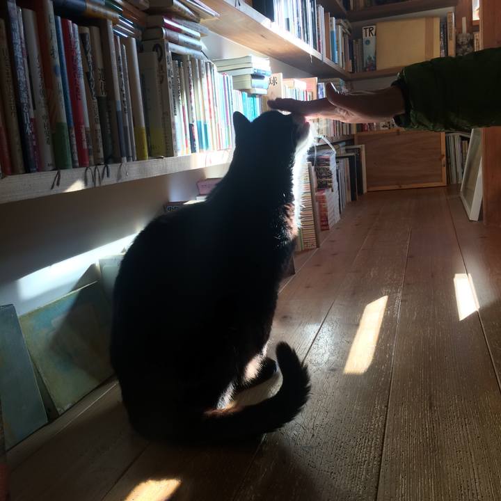 A5d7a445 6561 4964 ad08 0d22404f7e16 1550358944066