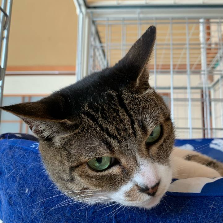 A5d7b09e 99be 4ff1 bd38 c3f5702be538 1596936035563