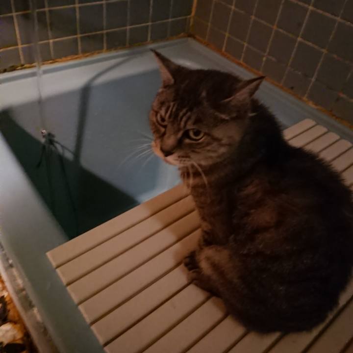 A5d7b4ac 39a6 4781 a6b1 514c3090a9a2 1569317069488