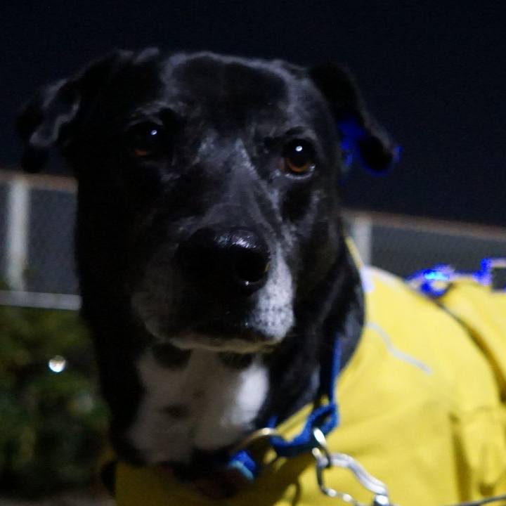 A5d7b872 5d28 4f57 8e3e 1668ec6d658d 1768474990335