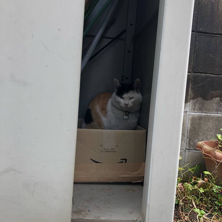 A5d7c90d 16c4 4d1f bd81 7d0deb5e5f8f 1608808675944