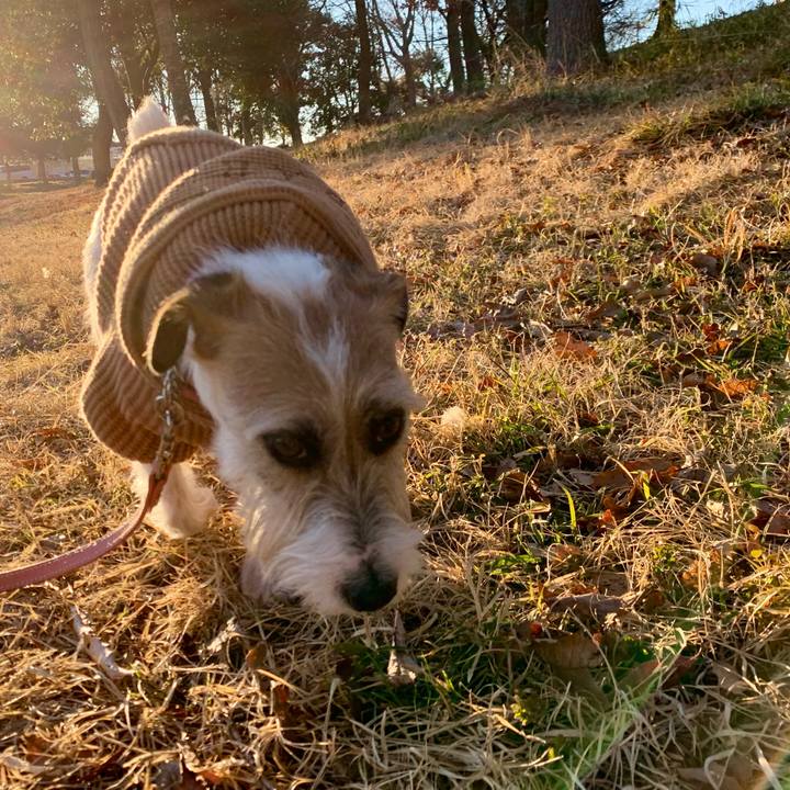 A5d7d97d b288 4b11 9a0b 105da26720ae 1645779329597