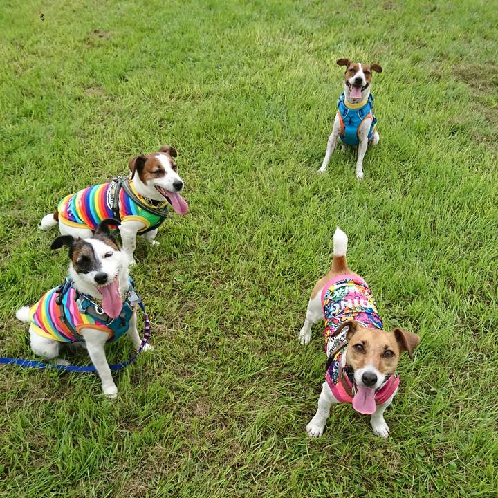 A5d8373f 0a88 4482 9eba d69861b5bb99 1595128283793