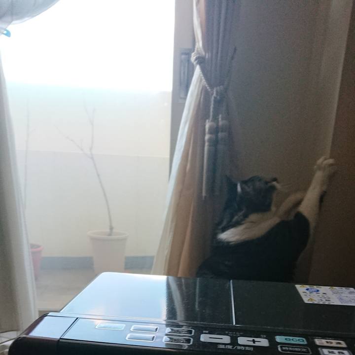 A5d83a25 fbec 4bd7 a169 73a20421d69d 1706489420498