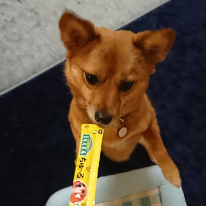 A5d85154 3a47 4b47 b659 815d3c57ccea 1526084223430