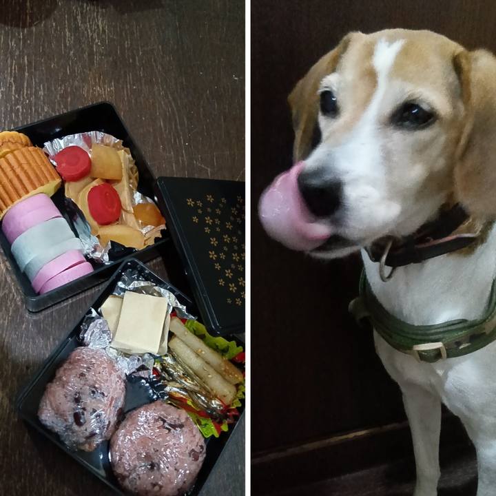 A5d85473 f915 4d50 a3d8 b7cbcd463738 1735720146079