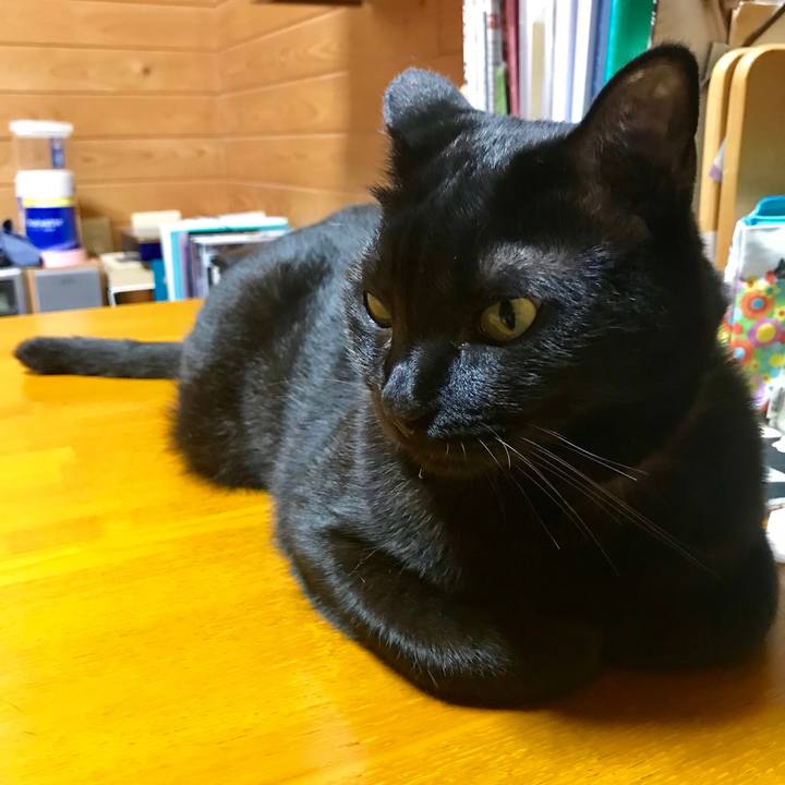 A5d8858a 3bd5 406c afbc d4c10f4bccdd 1528807388096