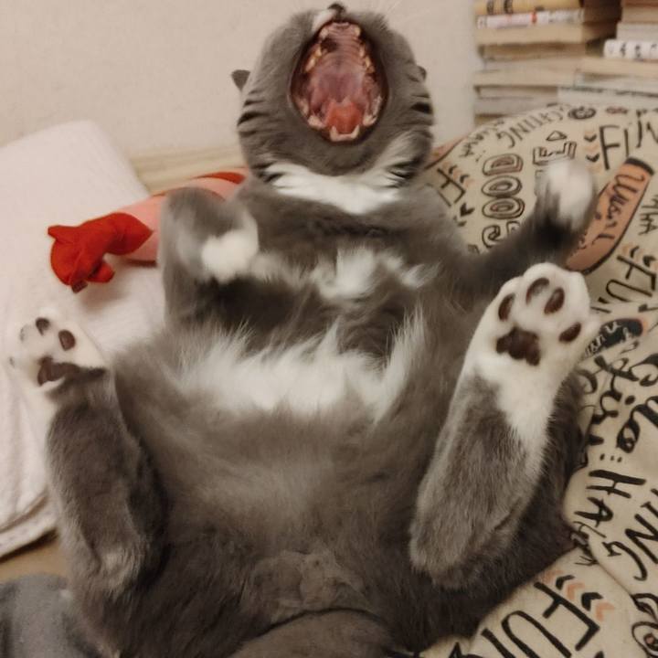 A5d88722 3902 4a16 b3c3 e352004bc614 1619178877902