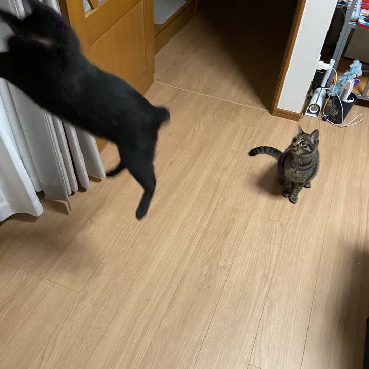 A5d8911a 0188 4e40 8041 79cfe261db33 1621254709772