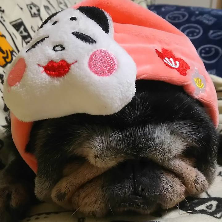 A5d8c8d5 7518 4928 8758 60397bc7ddc3 1580666818702