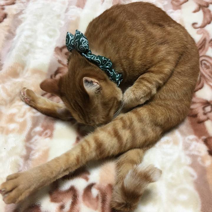 A5d8d98c 2a7e 49d4 9cda afc3a0f2d317 1545307911839