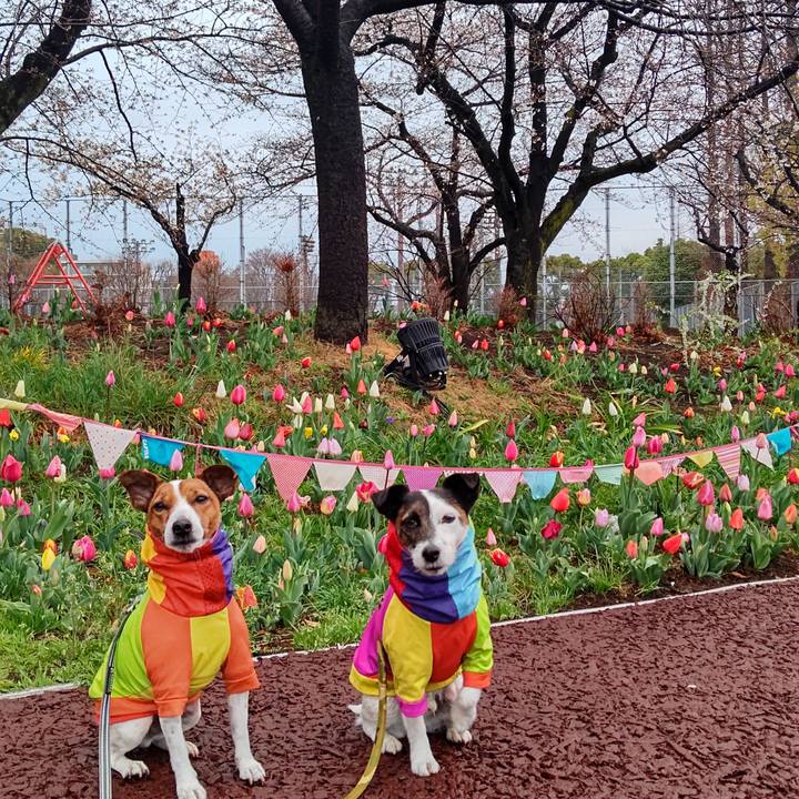 A5d938fa 6cd6 4313 81ab bfec70d260a7 1679140178035