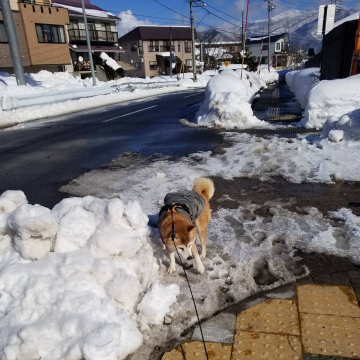 A5d97938 011b 488a aa85 2b1efc5a4de1 1736999410259