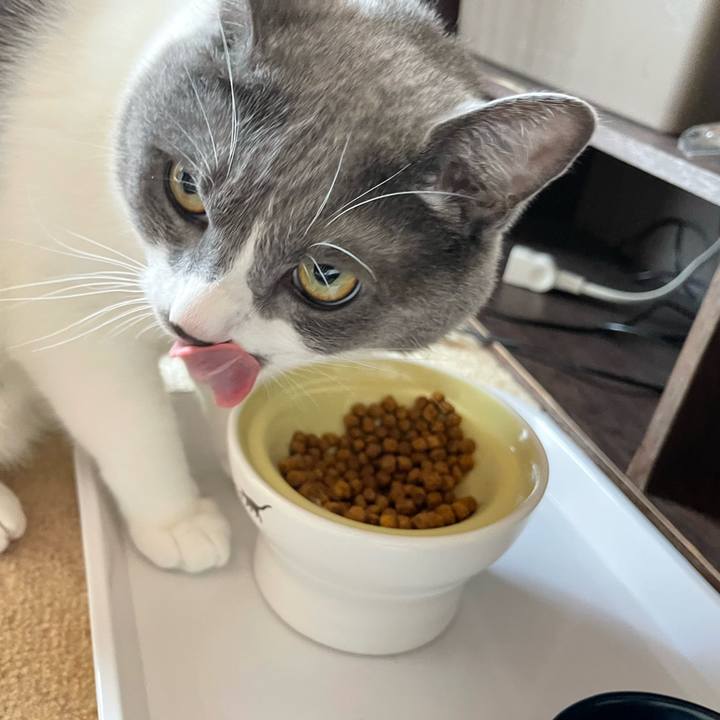 A5d980e8 8e74 463a 98fb 191f20bcfae4 1663463417082