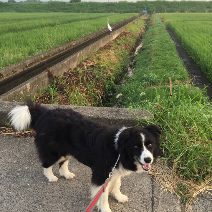 A5d9a327 454b 46a4 9ef6 c98cf6c50d21 1566001082398