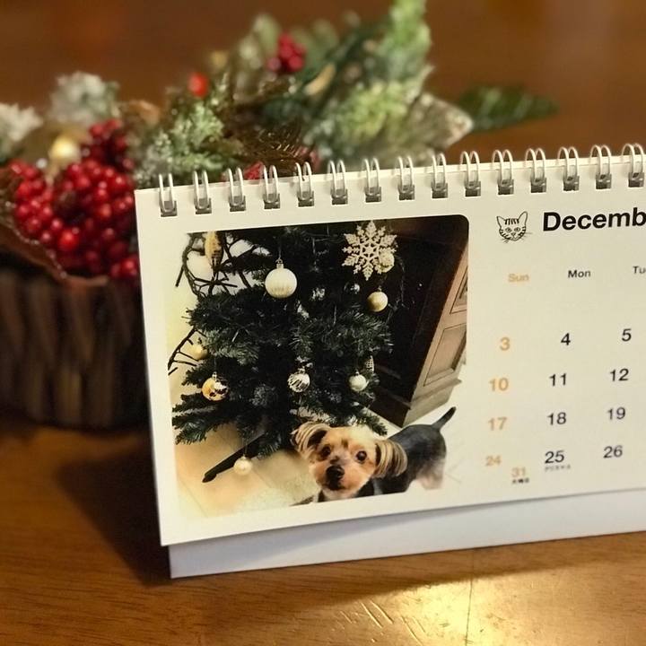 A5d9f45d fb35 4a35 94c8 32dfe6ecd229 1512078947814