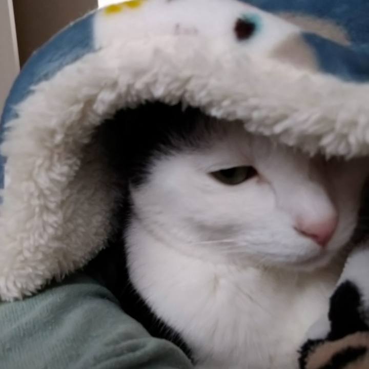 A5d9f98a 6a96 496c 968a 55ce3fe1d375 1604667753727