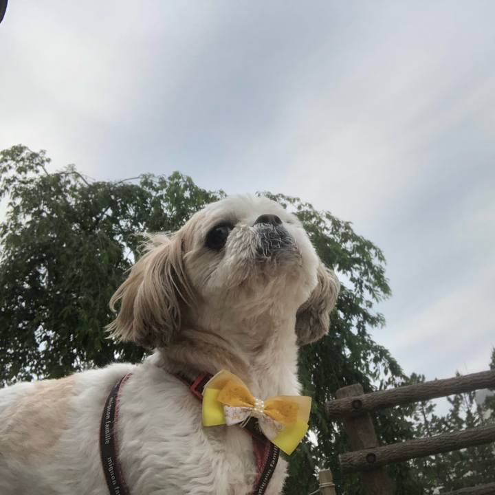 A5d9fb75 52ed 44b8 8083 167a0e3cd290 1622246497958