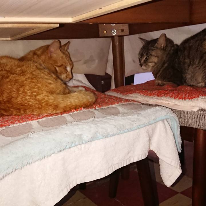 A5da0289 3980 42e7 9f0d 5470ae5d3e76 1555061528644