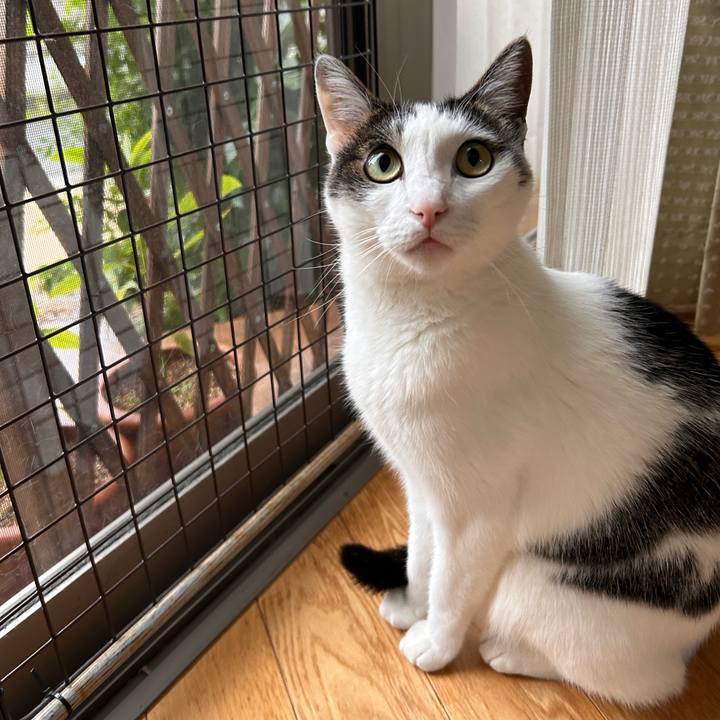 A5da1765 fdb7 4893 8dcc e72afac60044 1716763829746