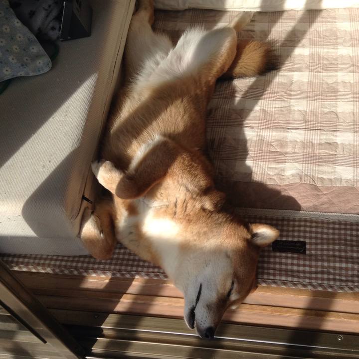 A5da3df5 ba68 4ebe b1b4 36071c8201f0 1522045178406