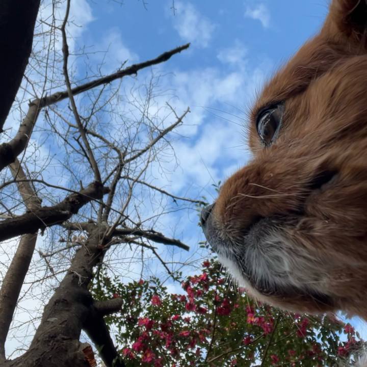 A5da657d 5ded 439b 86e1 fa95dc909d8a 1671508728804