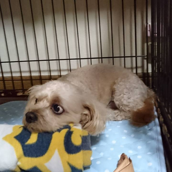 A5da7bef 48d9 4373 939c ccda6e55533a 1596956744569