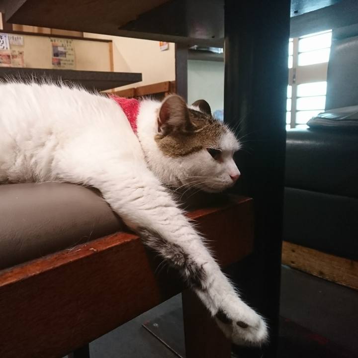 A5da8021 be20 44db bc0f 5513c7b471f3 1530853587374