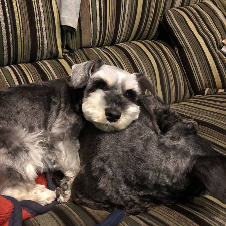 A5da9210 54a3 4dc0 9901 4ce69c5a4996 1520942390366