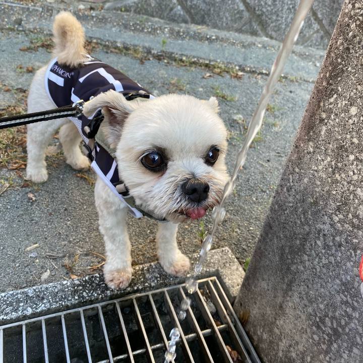 A5dad0af cea5 4fc3 ae4f 43a30465b662 1690236865806