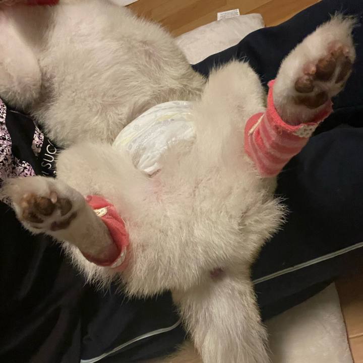 A5db0f86 1fc7 4536 9f66 9ba765c569f1 1662732287821