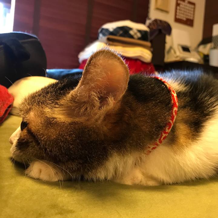 A5db2af9 3a8f 4d1a 83e9 b53110360b25 1562660523029