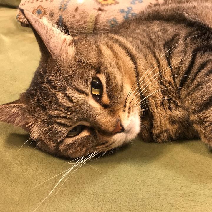 A5db3a5a d6f8 498f 8137 06cf451b46d1 1571705130861