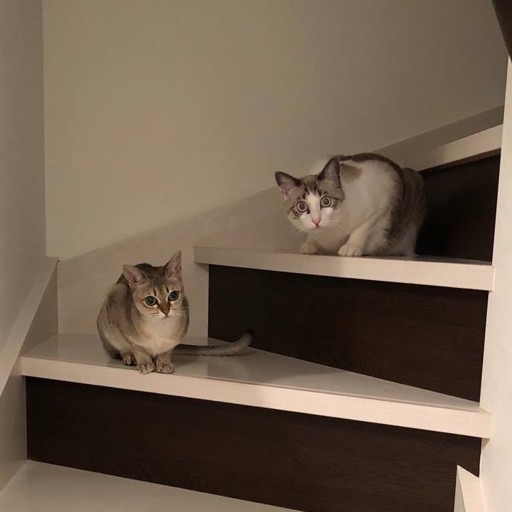 A5db3b6f c7ff 44f9 a402 9eb80d846dd9 1543070899356