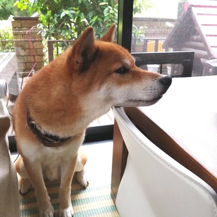 A5db3fad 160d 4d68 a5b0 3c69100d521d 1594094254227