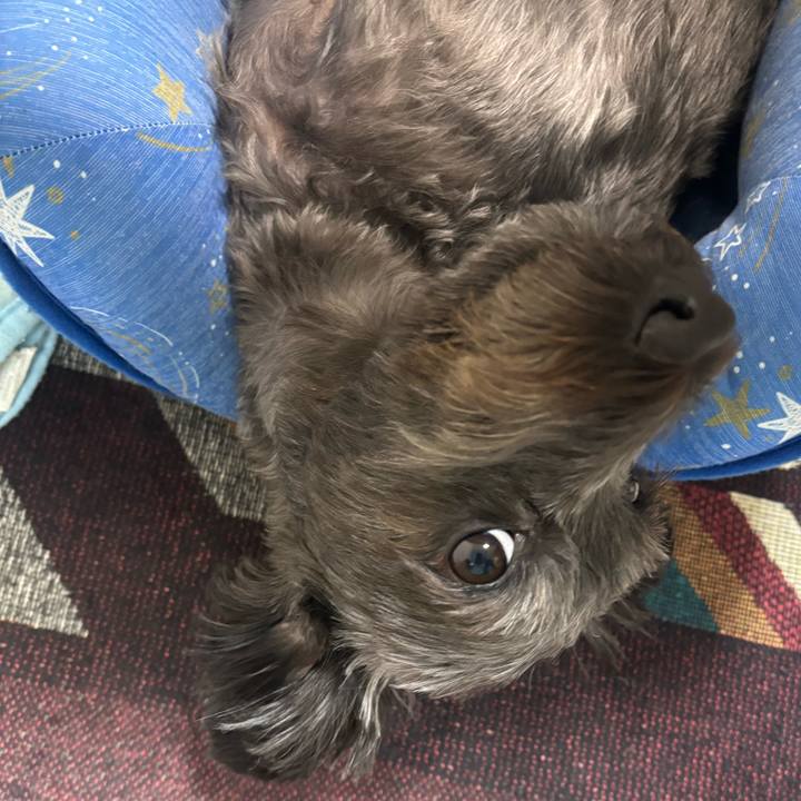 A5db3fc1 5971 47d0 be02 732735d66d61 1756549450330