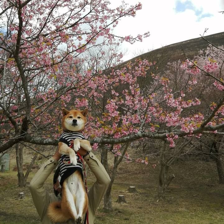 A5db70cf 3283 4e0f b3b2 90465fcd2fbf 1647933464731