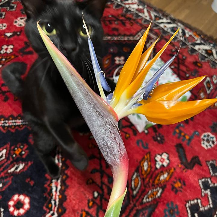 A5db7bc6 c98e 4faa 869c 85f7de1135d8 1690330895363