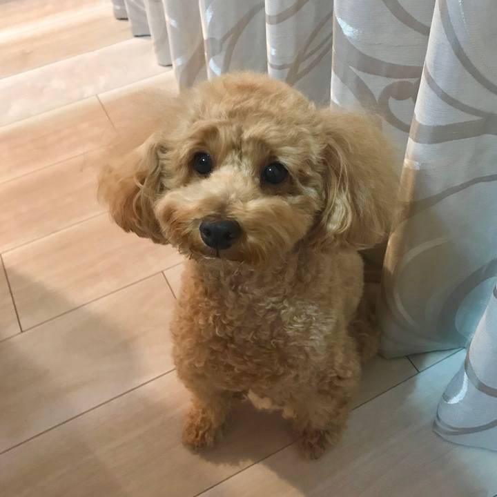 A5dbaf16 04f1 4707 993e f77c248258b1 1542196500896