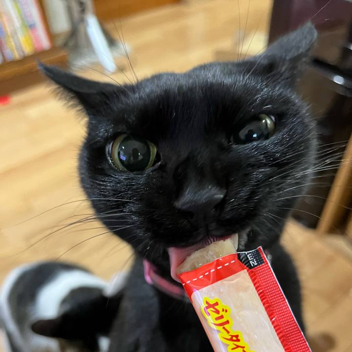 A5dbc6ad fe79 4a9c a76b a119ad117684 1637539036995